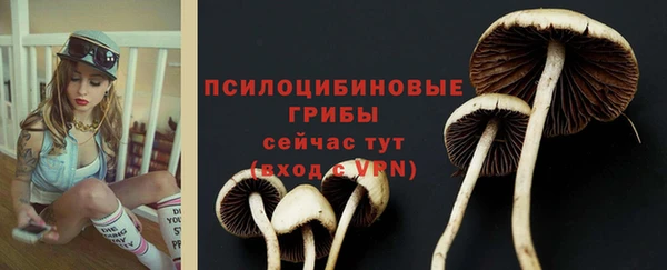 таблы Бронницы