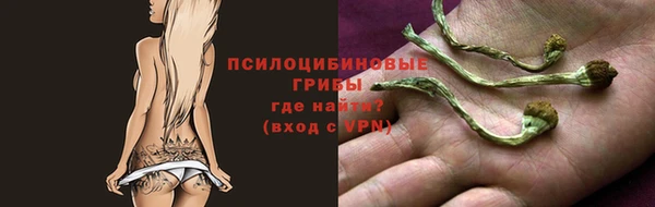 дживик Бугульма