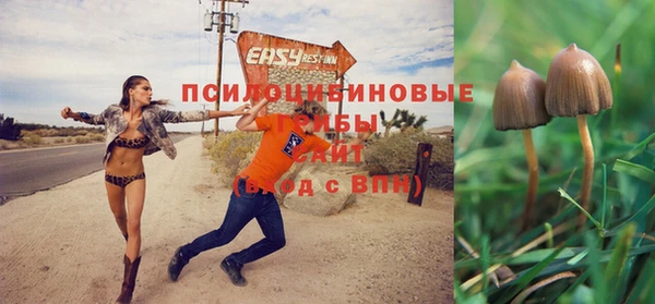 соль курить ск Бородино