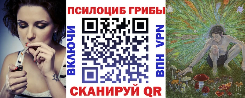 Купить закладки  Медвежьегорск  Галлюциногенные грибы прущие грибы 